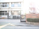 松原高校(高等学校/高等専門学校)まで971m maison桜の杜