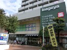 いなげや(スーパー)まで637m カサグランデ永福