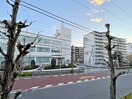 室内からの展望 レピュア十条レジデンス