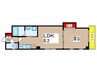 PARK HILLS SHINJYUKU 1LDKの間取り