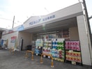 ウエルシア足立青井店(ドラッグストア)まで231m グランクオール青井