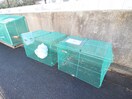 建物設備 ＤＥＮあざみ野