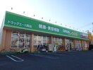 ドラッグ・エース　岡店(ドラッグストア)まで43m ミサオハイツ（３３０）