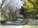 野島公園(公園)まで215m コ－ポラスしぶや