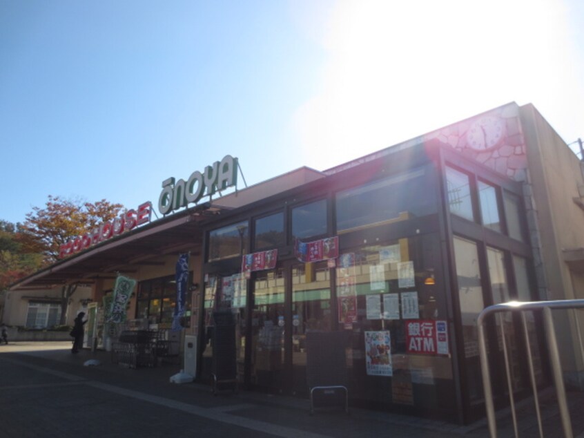 大野屋　菅田店(スーパー)まで1100m サンヴィレッジＡ棟