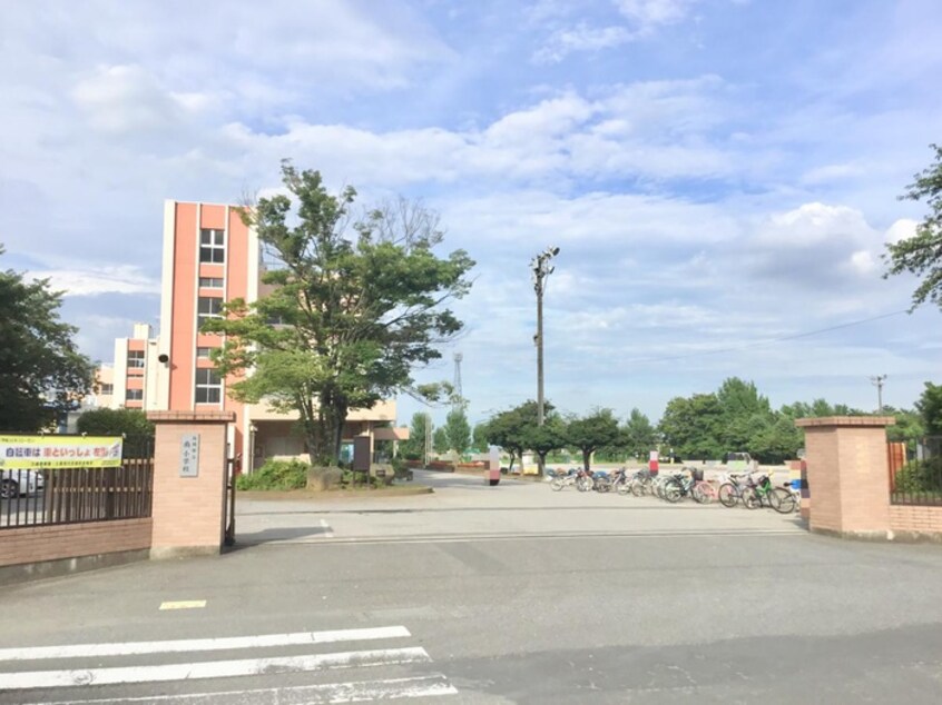 南小学校(小学校)まで10m メゾン沖山