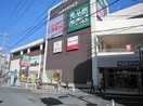 食品館あおば(スーパー)まで614m グランテイア中山