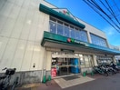 マルエツ 中山店(スーパー)まで208m グランテイア中山