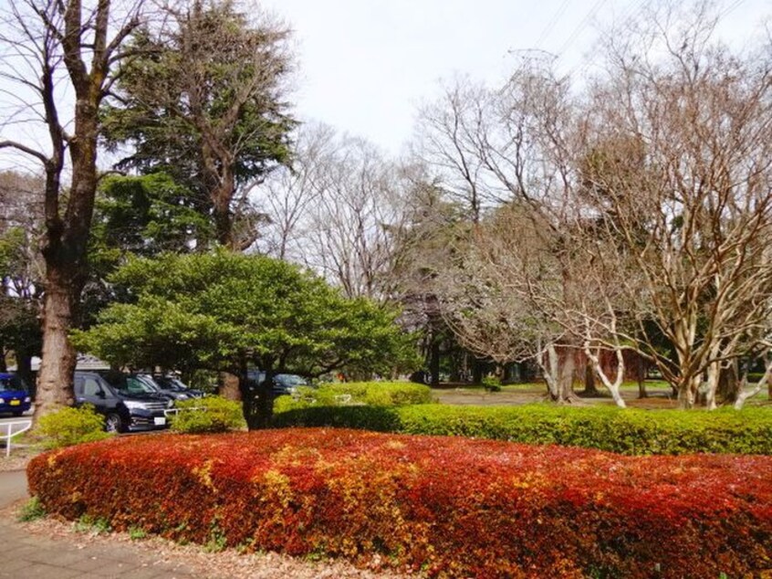 小金井公園(公園)まで969m みずき館