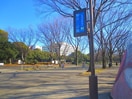 駒沢オリンピック公園(公園)まで914m シャトレー深沢