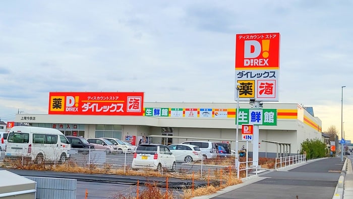 ダイレックス(スーパー)まで1200m メルベーユ西上尾
