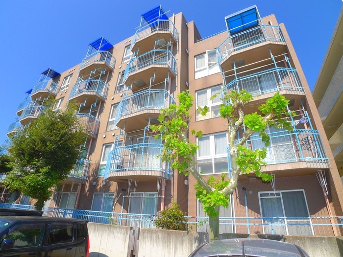 その他 ベルエポック２