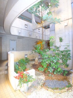 エントランス部分