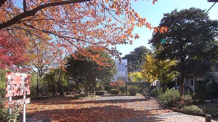 中町どんぐり緑地(公園)まで181m シルバー玉川