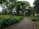 駒沢緑泉公園(公園)まで495m シャンデール