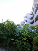 室内からの展望 アルシオーネＢ