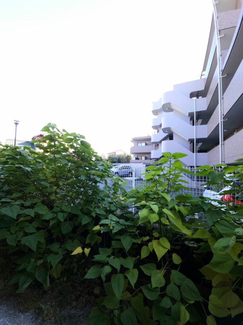 室内からの展望 アルシオーネＢ