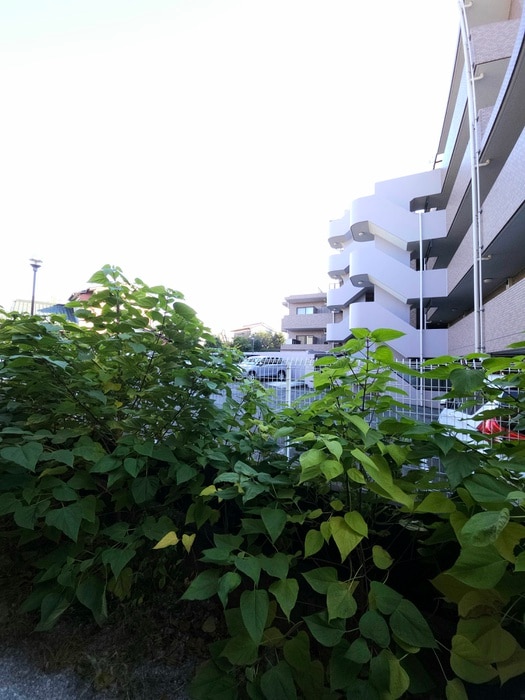 室内からの展望 アルシオーネＢ