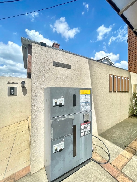 その他 マスマニャーナ