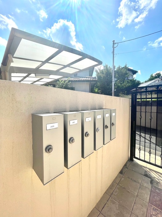 その他 マスマニャーナ