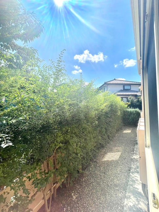 室内からの展望 マスマニャーナ