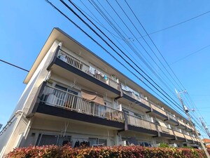 ひばりが丘ハイツB 棟（215）