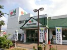 マルエツ 名瀬店(スーパー)まで775m ラヴィ東戸塚伍番館