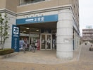 正育堂(本屋)まで460m ロイヤルエンブレム