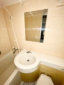 洗面 エースピア錦糸