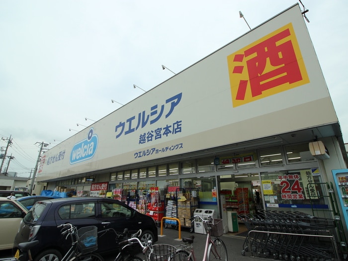 ウェルシア(ドラッグストア)まで20m ディライトハイツ