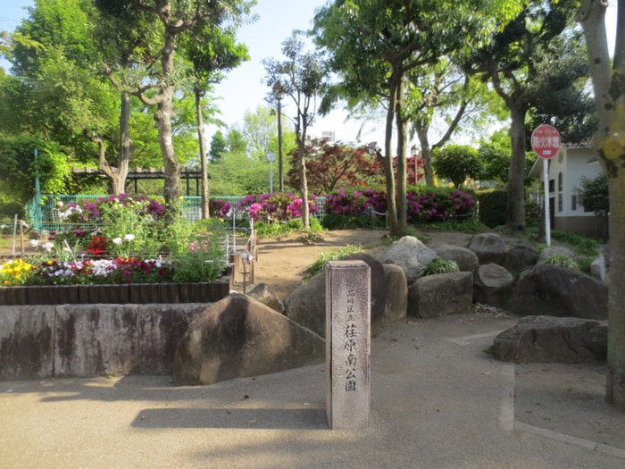 荏原南公園(公園)まで157m Ｂｅｌｌｅ　Ｂｌａｎｃ