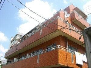 ユースフル学芸大学（307）