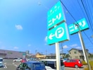 ニトリ(電気量販店/ホームセンター)まで880m Ｒｅｇｕｌｕｓ 緑が丘