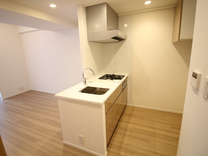 キッチン ﾊﾟｰｸｱｸｼｽ日本橋浜町ﾚｼﾞﾃﾞﾝｽ