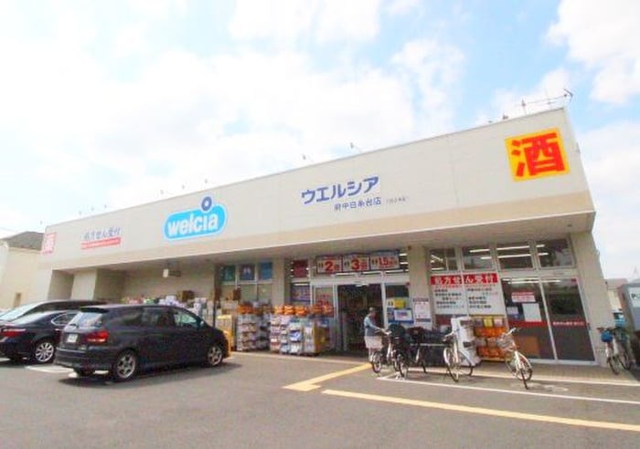 ウエルシア府中白糸台店(ディスカウントショップ)まで1100m フェリチータ紅葉ヶ丘