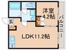 金町マンション 1LDKの間取り