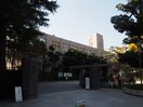 武蔵大学(大学/短大/専門学校)まで1100m メゾンエクレ－レ江古田