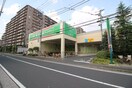 フードワン　綱島店(スーパー)まで178m ネサンス