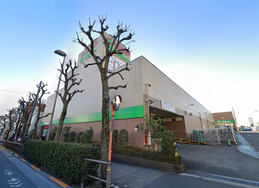 サミットストア　井荻駅前店(スーパー)まで301m パレス上井草