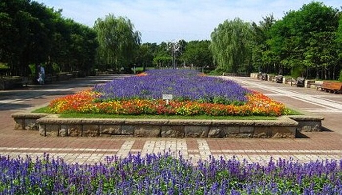 長久保公園(公園)まで260m アルカサーノ湘南