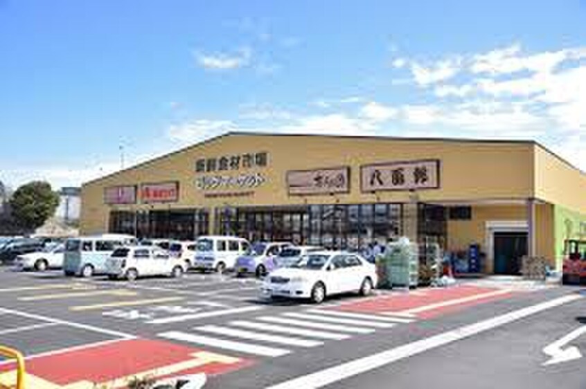 新鮮食材市場 ビッグマーケット 鶴ヶ島(スーパー)まで900m 寺山邸