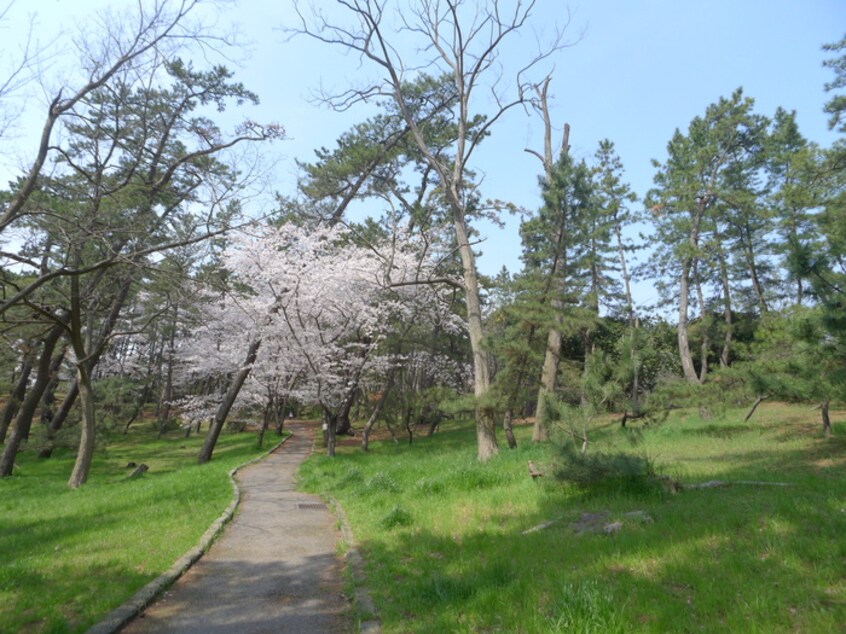 稲毛公園(公園)まで100m プラチナパレス