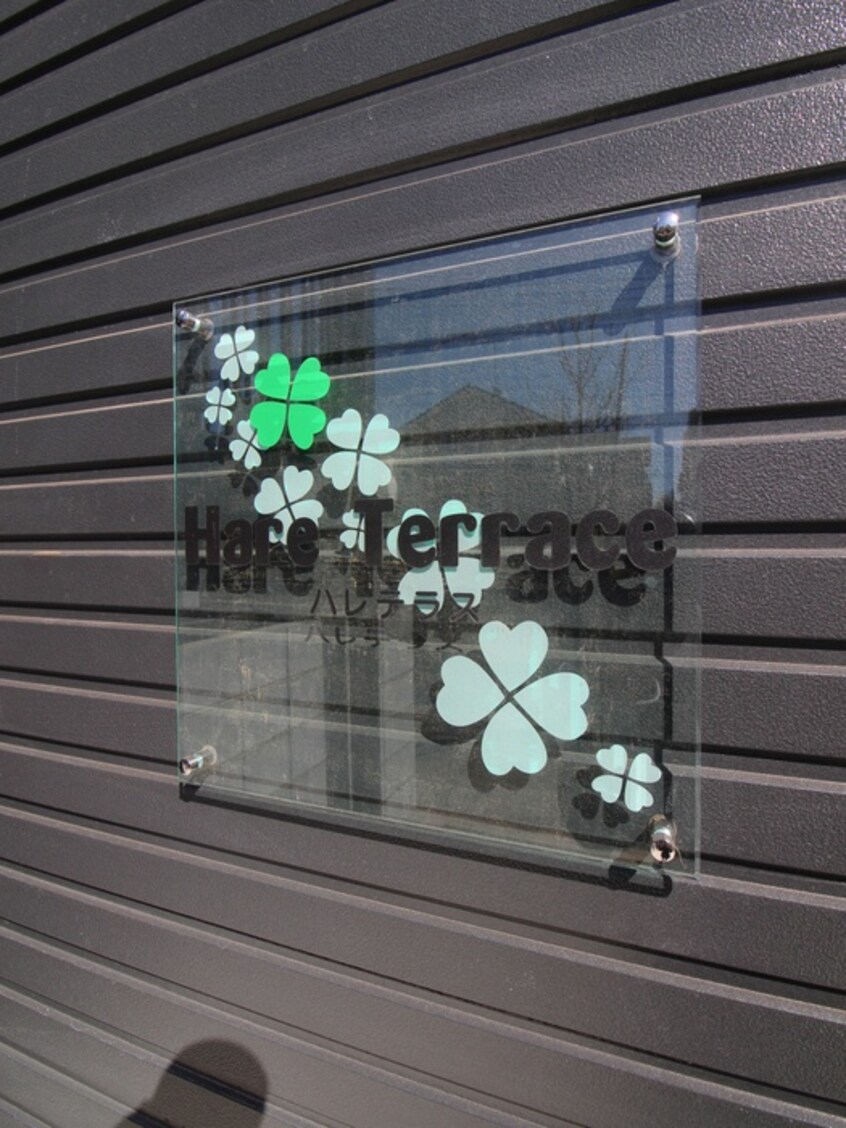 その他 Ｈａｒｅ　Ｔｅｒｒａｃｅ