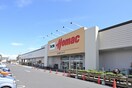 DCMさいたま蓮沼店(電気量販店/ホームセンター)まで1200m Ｈａｒｅ　Ｔｅｒｒａｃｅ