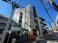 ＤＯＲＣＵＳ　ＭＥＪＩＲＯ