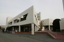 寒川町役場(役所)まで505m ホームグロー