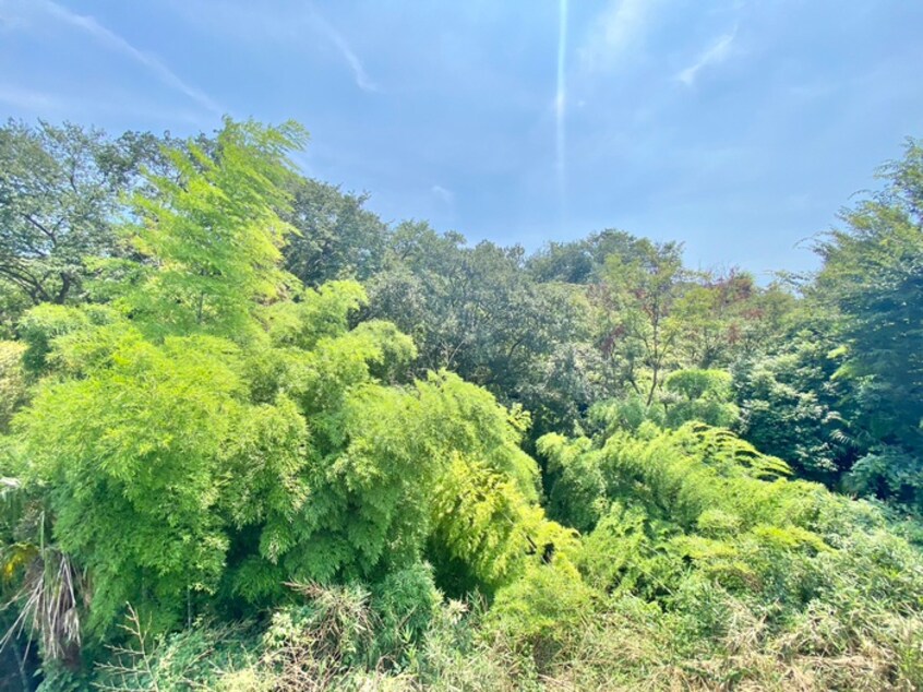 室内からの展望 グリ－ンコ－ポ