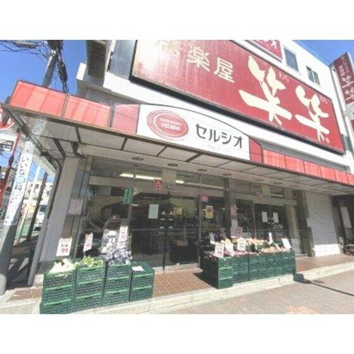 スーパーマーケット セルシオ 和田町店(スーパー)まで615m グリ－ンコ－ポ