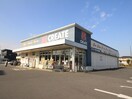 クリエイト　練馬西大泉店(ドラッグストア)まで354m Garden House　A棟