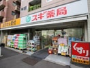 スギ薬局白山通り店(ドラッグストア)まで650m パークアクシス文京本郷